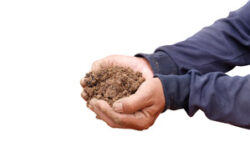 soil-type-handful