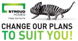 Chameleon-Zebra-Banner-Feature