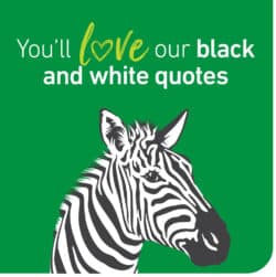 Stroud-Homes-New-Zealand-Black-White-Quotes-Zebra
