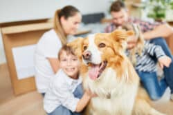 Moving-house-dog-with-kid-family-new-home-generic