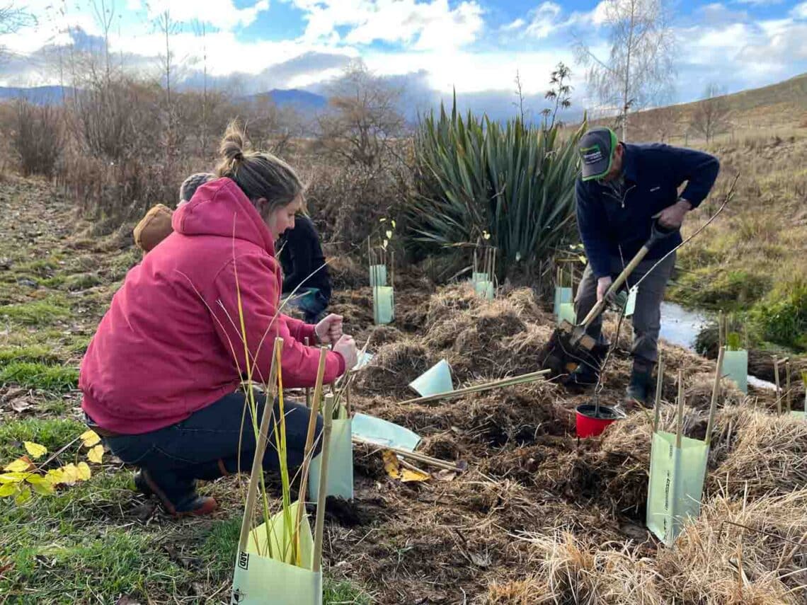 Stroud Homes Queenstown Lakes Tree Planting-2022-24