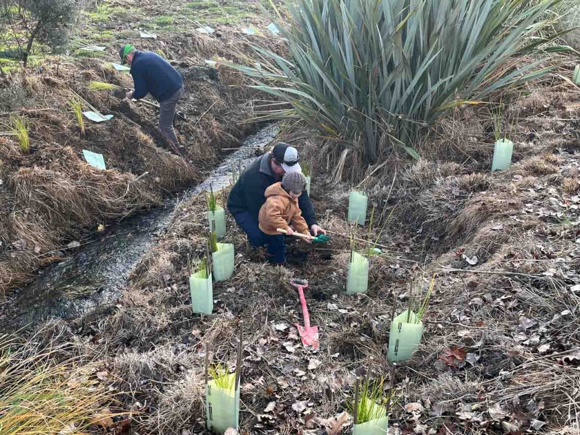 Stroud Homes Queenstown Lakes Tree Planting-2022-46