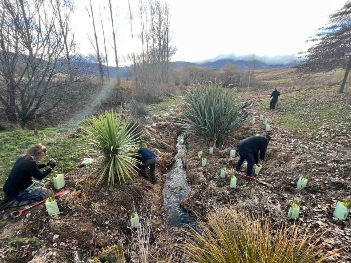 Stroud Homes Queenstown Lakes Tree Planting-2022-50