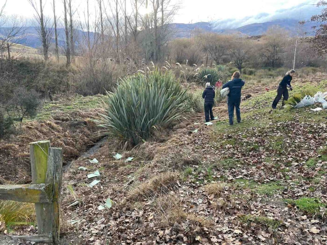 Stroud Homes Queenstown Lakes Tree Planting-2022-59