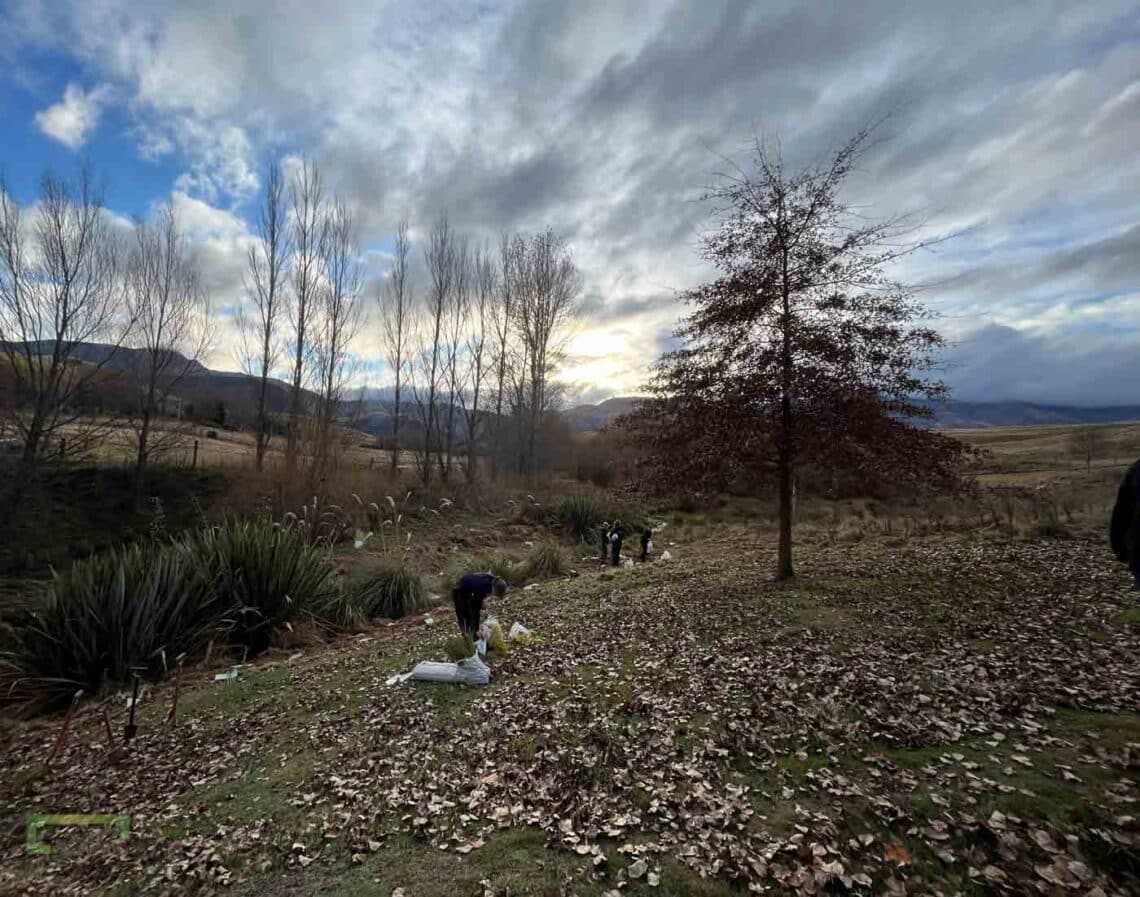 Stroud Homes Queenstown Lakes Tree Planting-2022-7