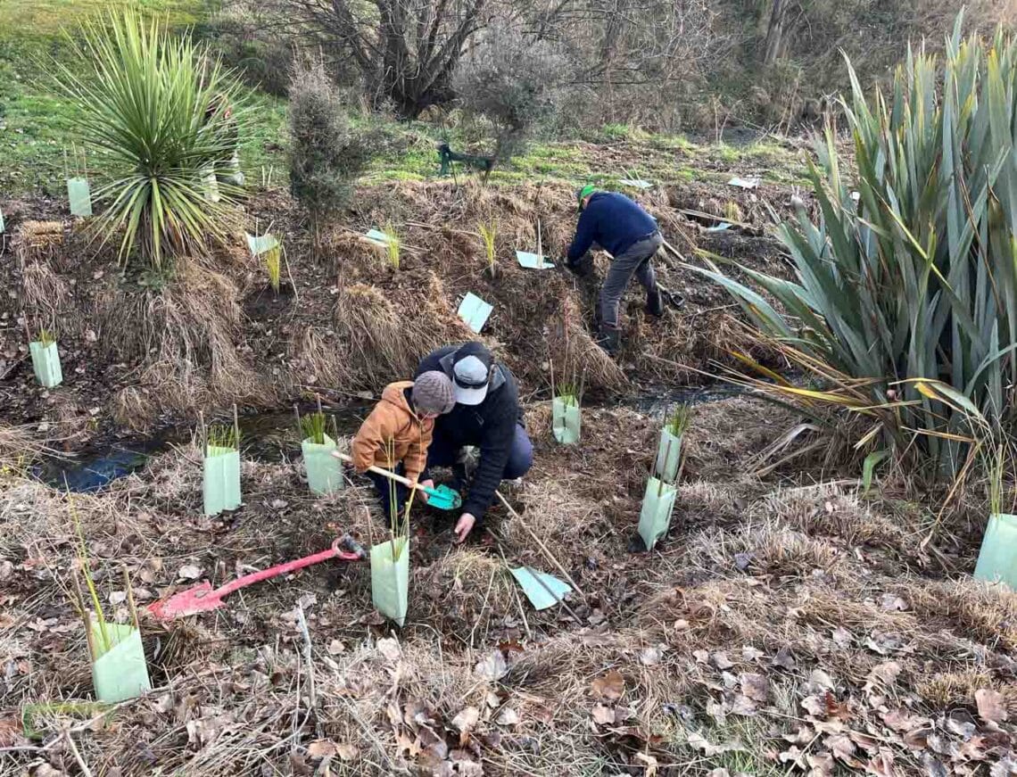 Stroud Homes Queenstown Lakes Tree Planting-2022-8