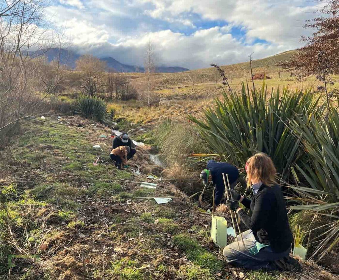 Stroud Homes Queenstown Lakes Tree Planting-2022-9