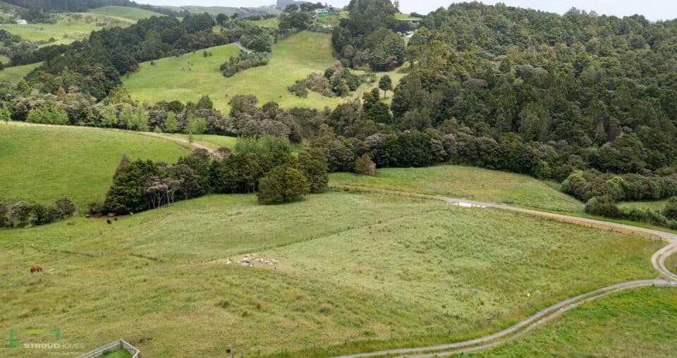 Mangawhai House & Land Packages